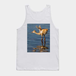 Sandhill crane chick Tank Top